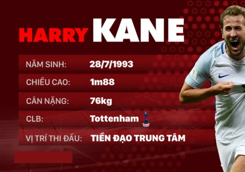 Thông tin chi tiết về Harry Kane